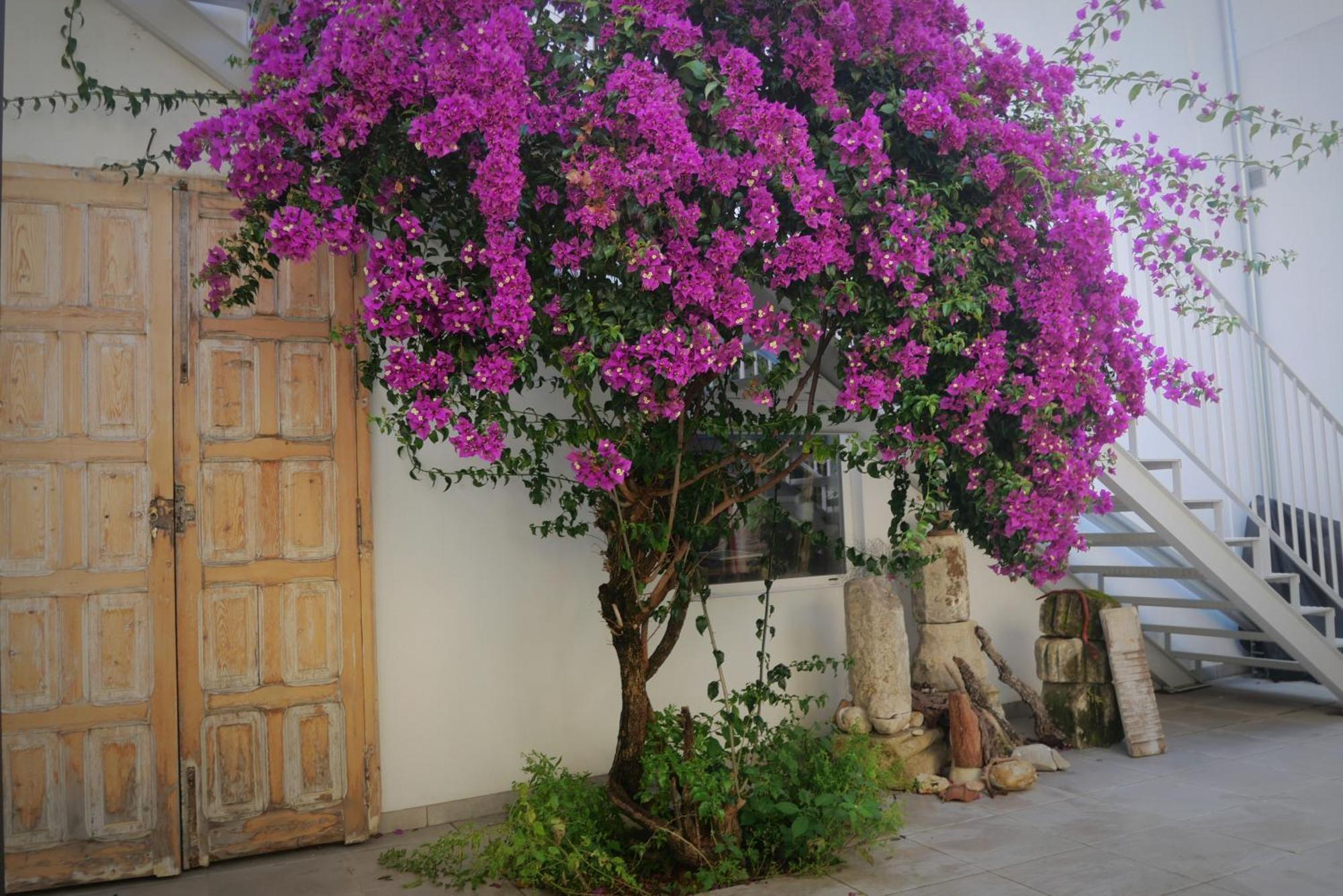Apartamento Casa De La Fra Jerez de la Frontera Exterior foto